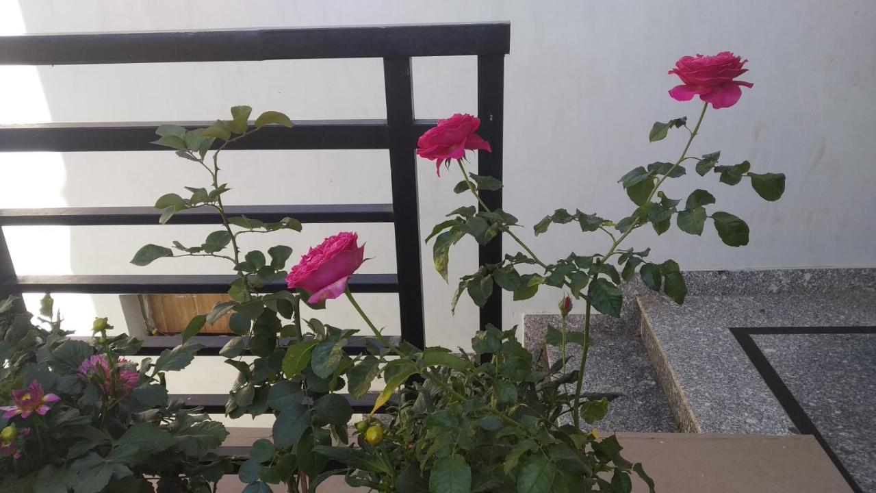 Mai Dalat Homestay Exteriér fotografie